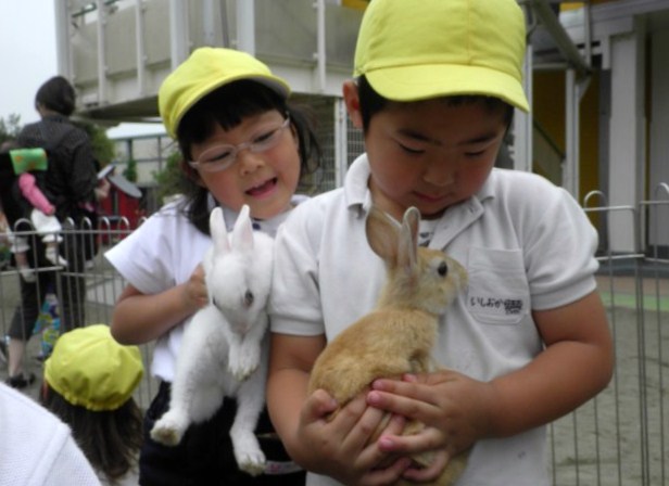 かわいいうさぎさん